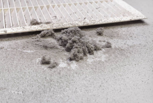 Best Ventilation Cleaning Services  in Republic, MO