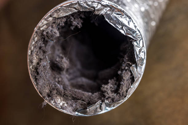 Best Professional Duct Cleaning Services  in Republic, MO